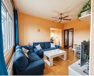 Living room of House or chalet for sale in Els Hostalets de Pierola  with Heating, Private garden and Storage room