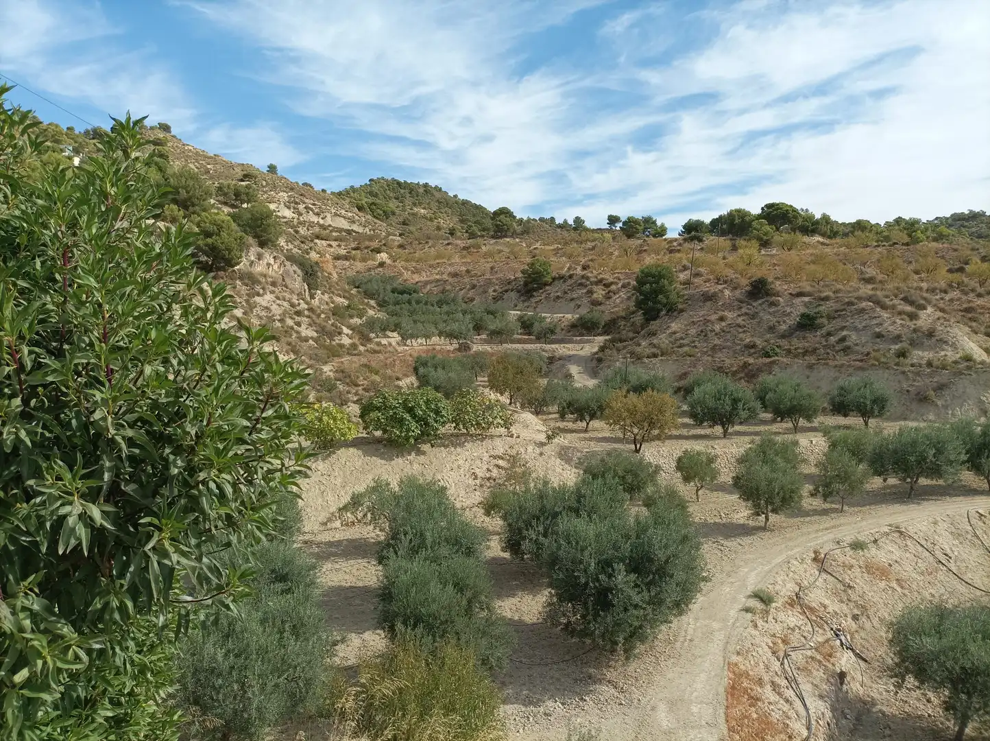 Xalet amb terrassa en venda a Carretera Alicante 3, imagen 10