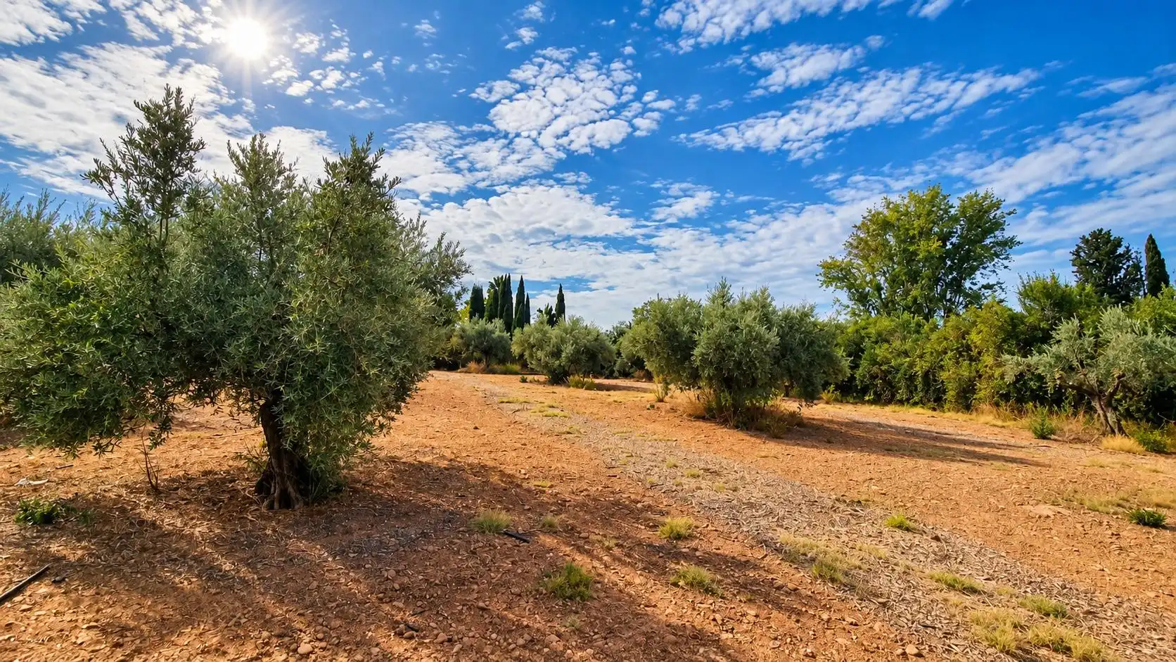 Terreno rústico en venta en Moraleda de Zafayona, imagen 30