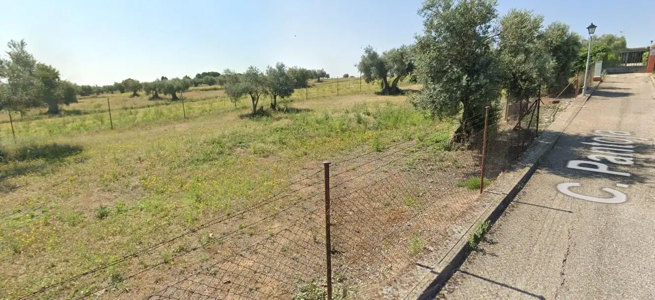 Lands and plots for sale in Pantoja, imagen 4