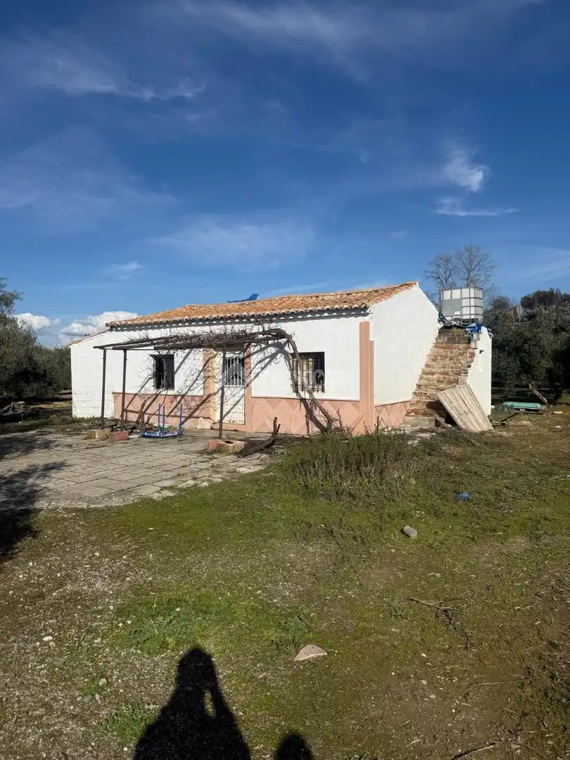 Finca rústica en venta en Chauchina
