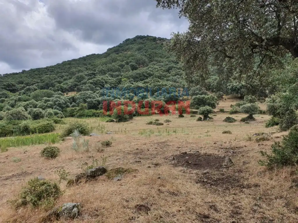 Casa en venda a Casas del Castañar, imagen 3