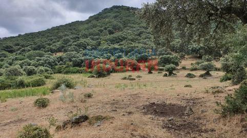 Foto 3 de Casa o xalet en venda a Casas del Castañar, Cáceres