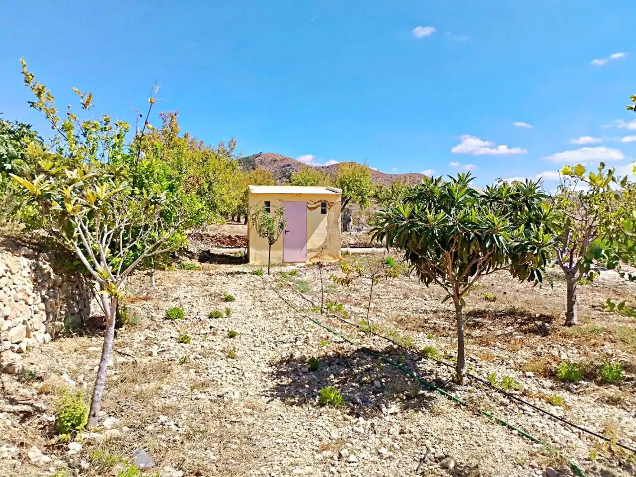Casa rústica en venda a Hondón de las Nieves / El Fondó de les Neus, imagen 24