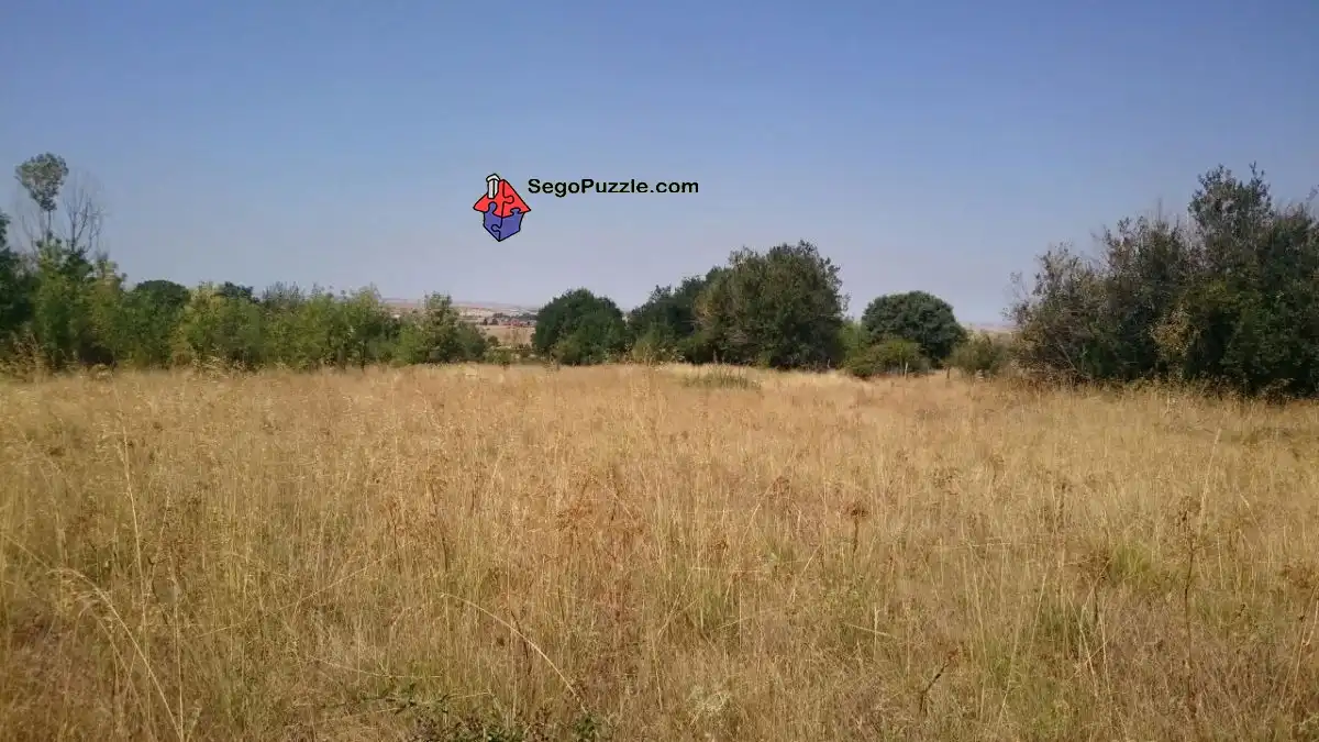 Terreni e lotti in vendita a Palazuelos de Eresma, imagen 2