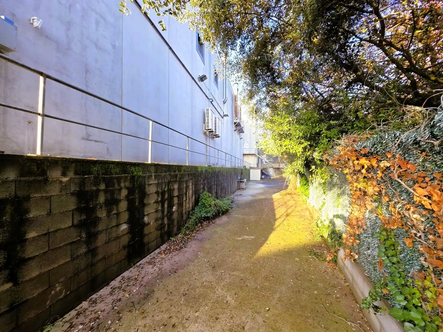 Nave industrial in vendita a Cervelló, imagen 10