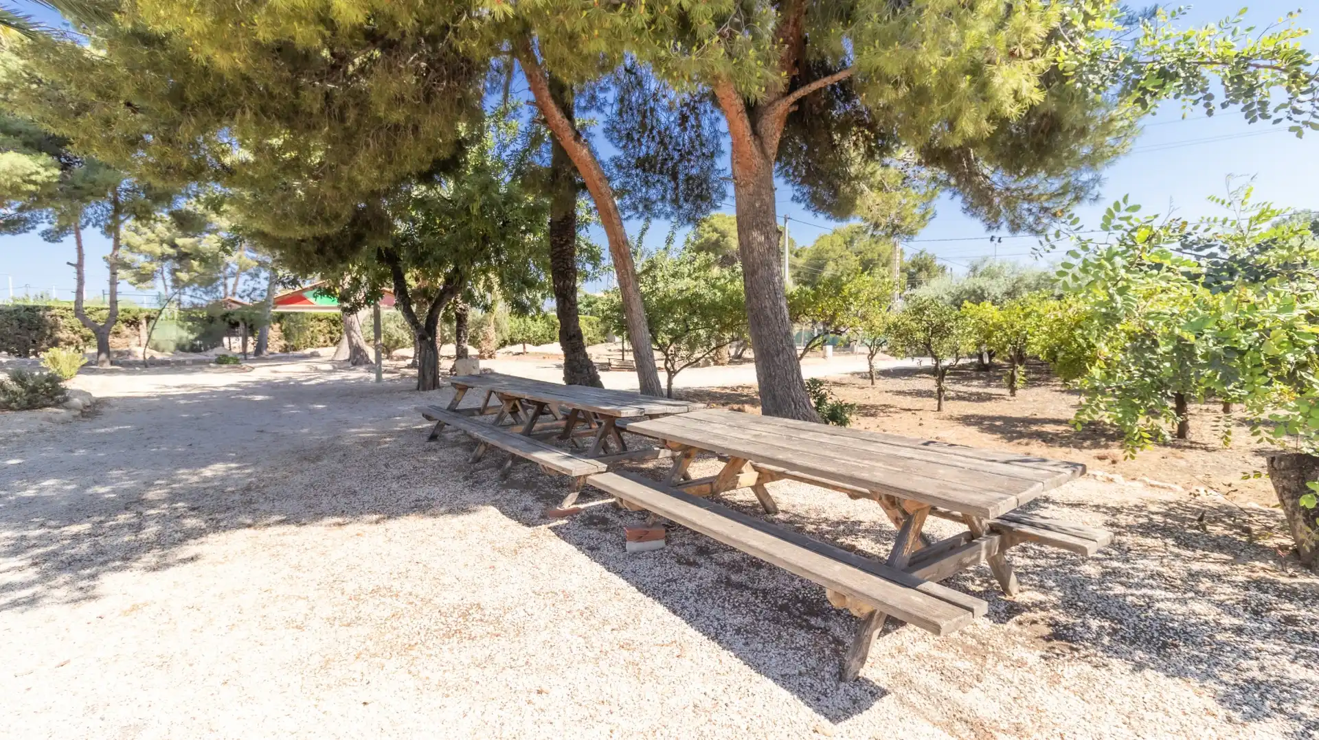 Jardín de Casa o chalet en venta en Elche / Elx con Aire acondicionado, Trastero y Amueblado