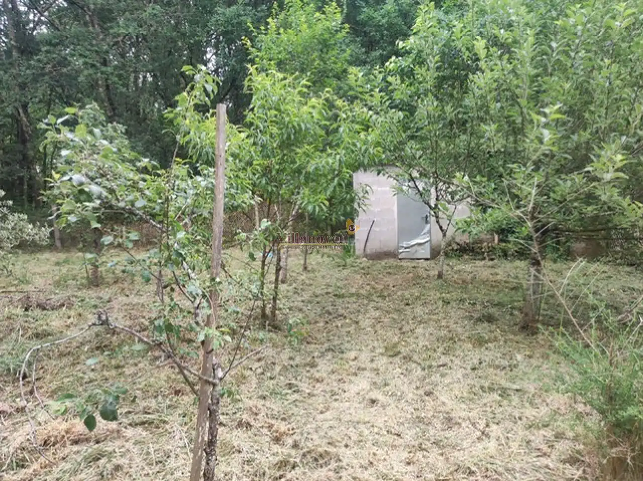 Terrenos y solares en venta en Ponteareas, imagen 3