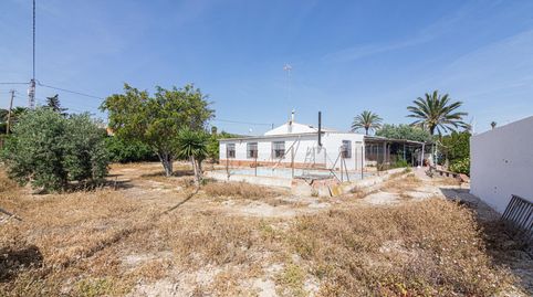 Photo 5 of Houses for sale in Peña de las Águilas, Elche / Elx