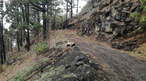 Photo 3 of Land for sale in Las Manchas Polígono 53, El Paso, Santa Cruz de Tenerife