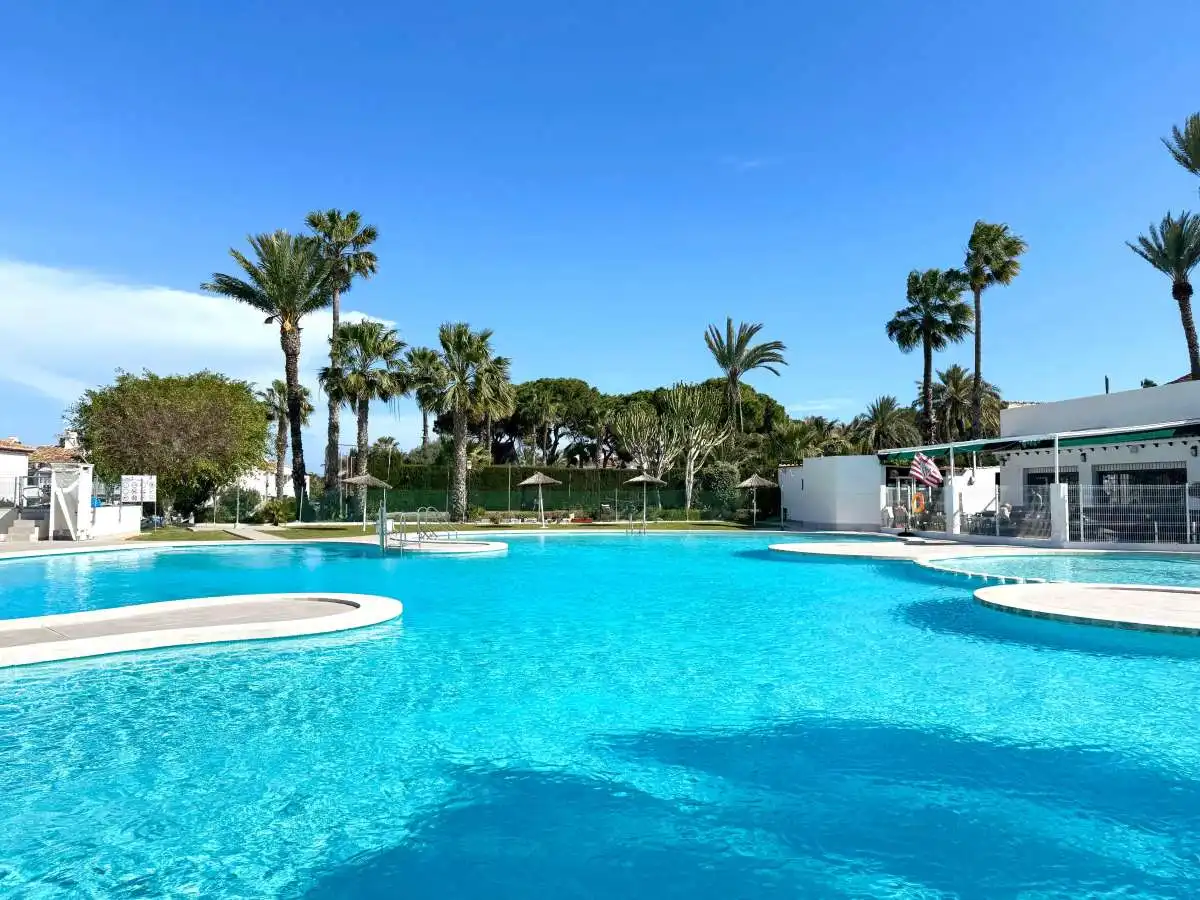 Piscina de Casa o chalet en venta en Torrevieja con Terraza, Amueblado y Piscina comunitaria