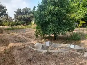 Land for sale in La Masó