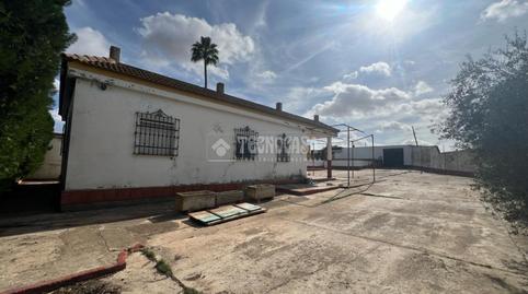 Foto 4 de Finca rústica en venda a Centro - Doña Mercedes, Sevilla