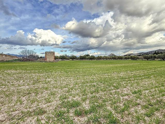 Terreno en Venta en Partida Polígono 12 Parcela 103 CAÑARETS. ONIL (AL en Onil