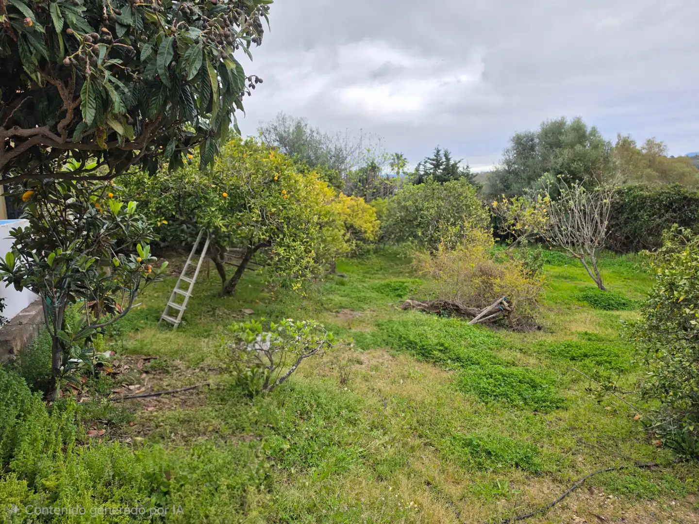Terreni e lotti in vendita a La Granja - La Colina - Los Pastores, imagen 11