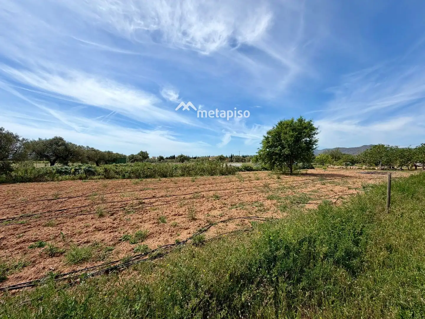 Terreno rustico in vendita a Santa Oliva, imagen 53