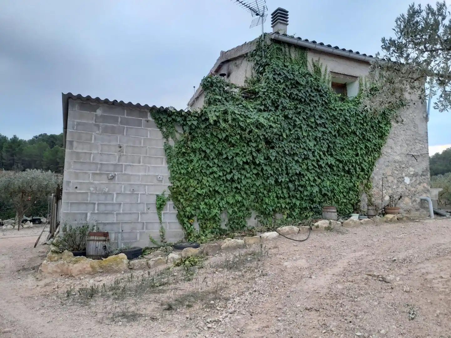 Terreny rústic en venda a Miravet, imagen 11