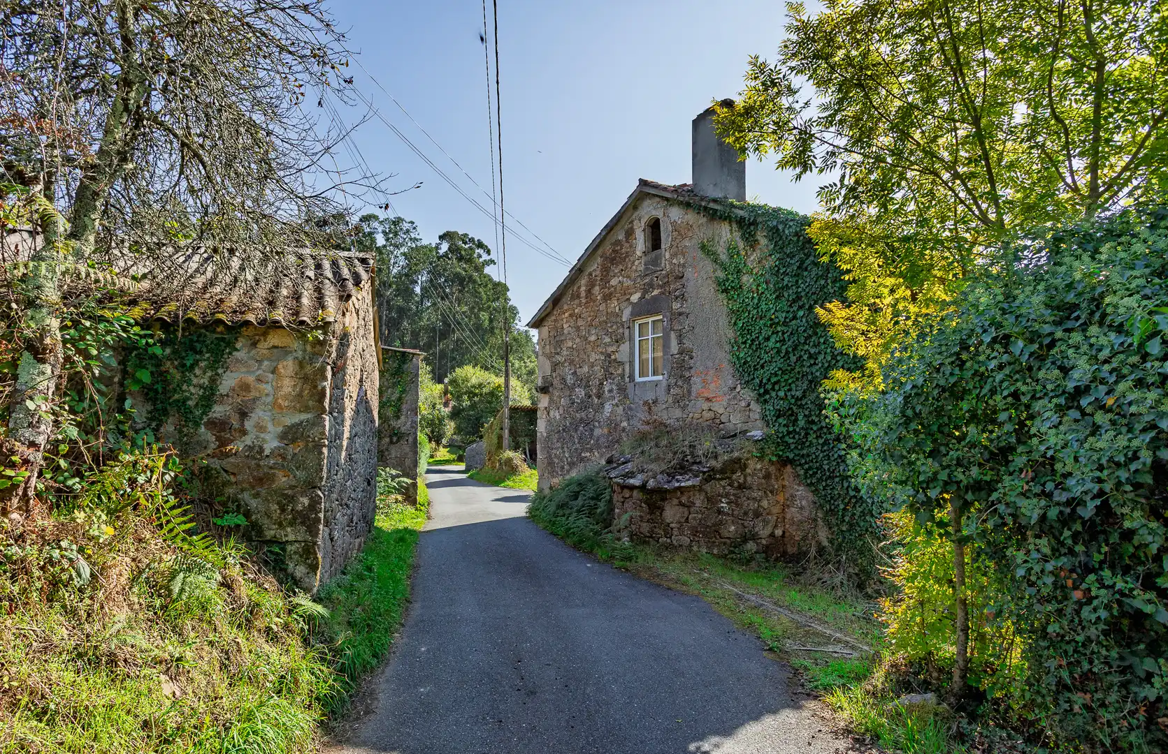 Exterior view of Country homes for sale in Vilarmaior