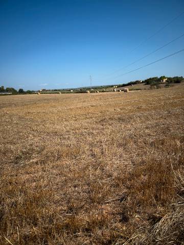 Terreno en Venta en Camí son Moix, 38 en Manacor Centre