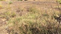 Residencial en venda en Boecillo