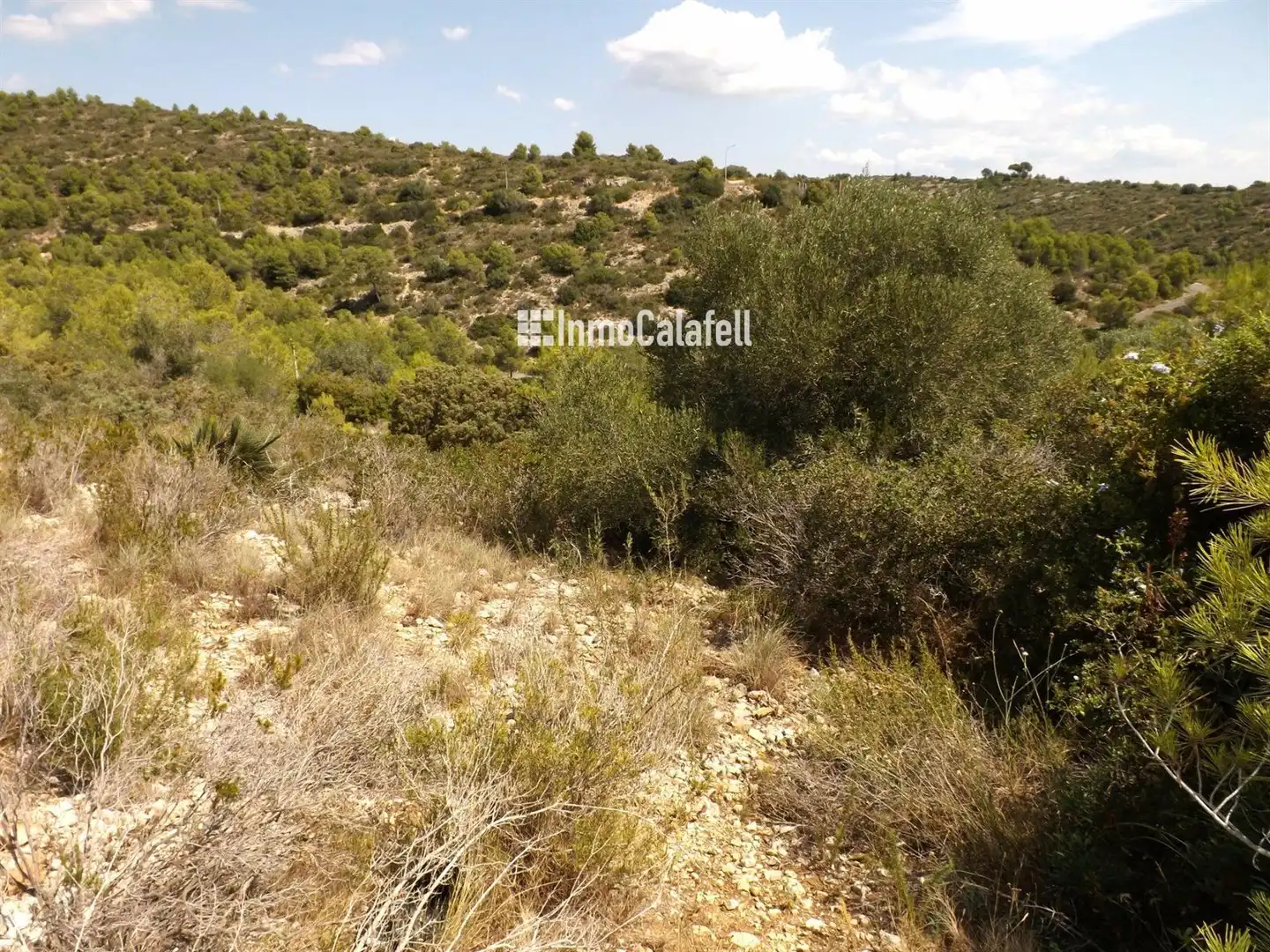 Terreno en venta en BOI, 77, Segur de Dalt