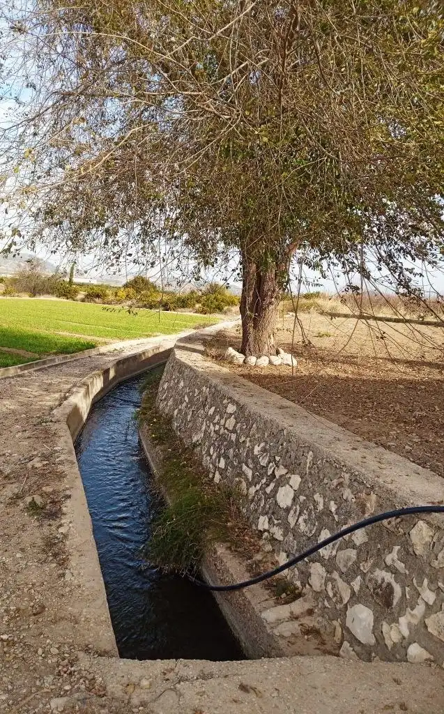 Vista exterior de Casa o chalet en venta en Xàtiva con Aire acondicionado, Jardín privado y Terraza