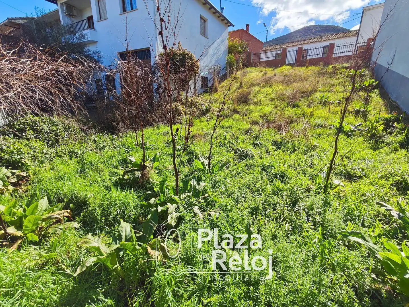 Terreno en venta en Sevilleja de la Jara