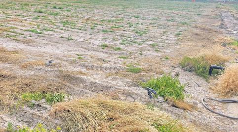 Foto 5 de Residencial en venda a Cerca de Lorbus, Campillo, Murcia