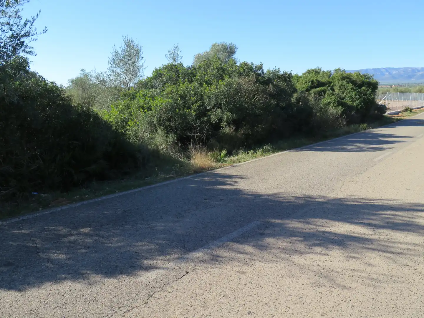 Rural land for sale in Godall, imagen 8
