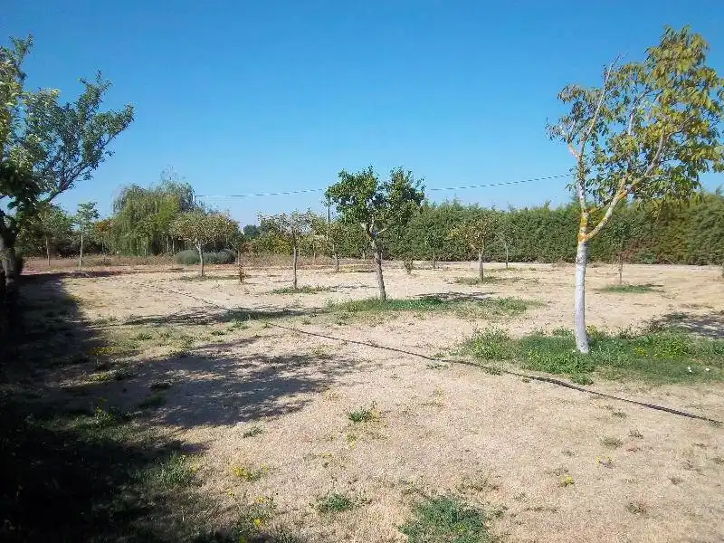 Houses for rent in Área Rural