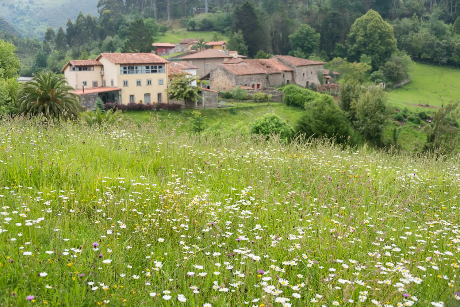 Exterior view of Houses for sale in Caravia  with Heating, Private garden and Parquet flooring