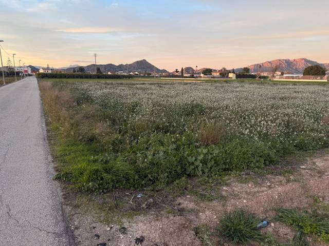 Terreno en Venta en Vereda Jurisdiccion, 10 en Santa Cruz