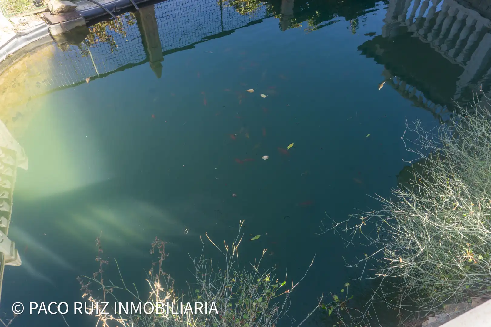 Piscina de Finca rústica en venta en Purchena