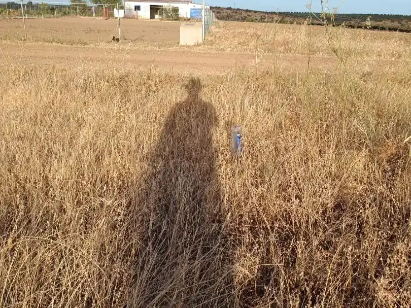 Finca rústica en venta en Solana de los Barros, Badajoz