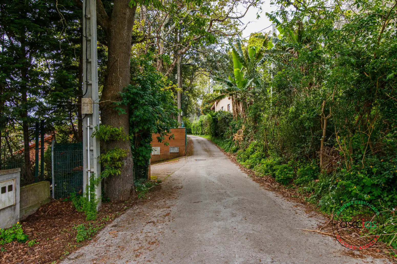Terreny residencial en venda a Somió - CM FRESNOS 141, imagen 13