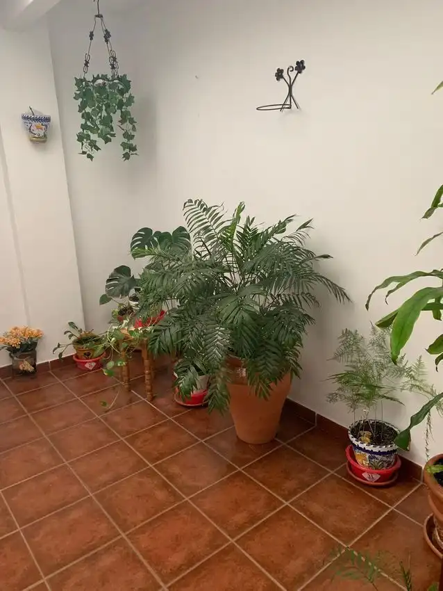 Jardí de Casa adosada en venda en Arcos de la Frontera amb Aire condicionat