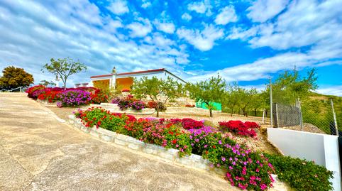 Foto 4 de Finca rústica en venda a N/a, -1, Albondón, Granada