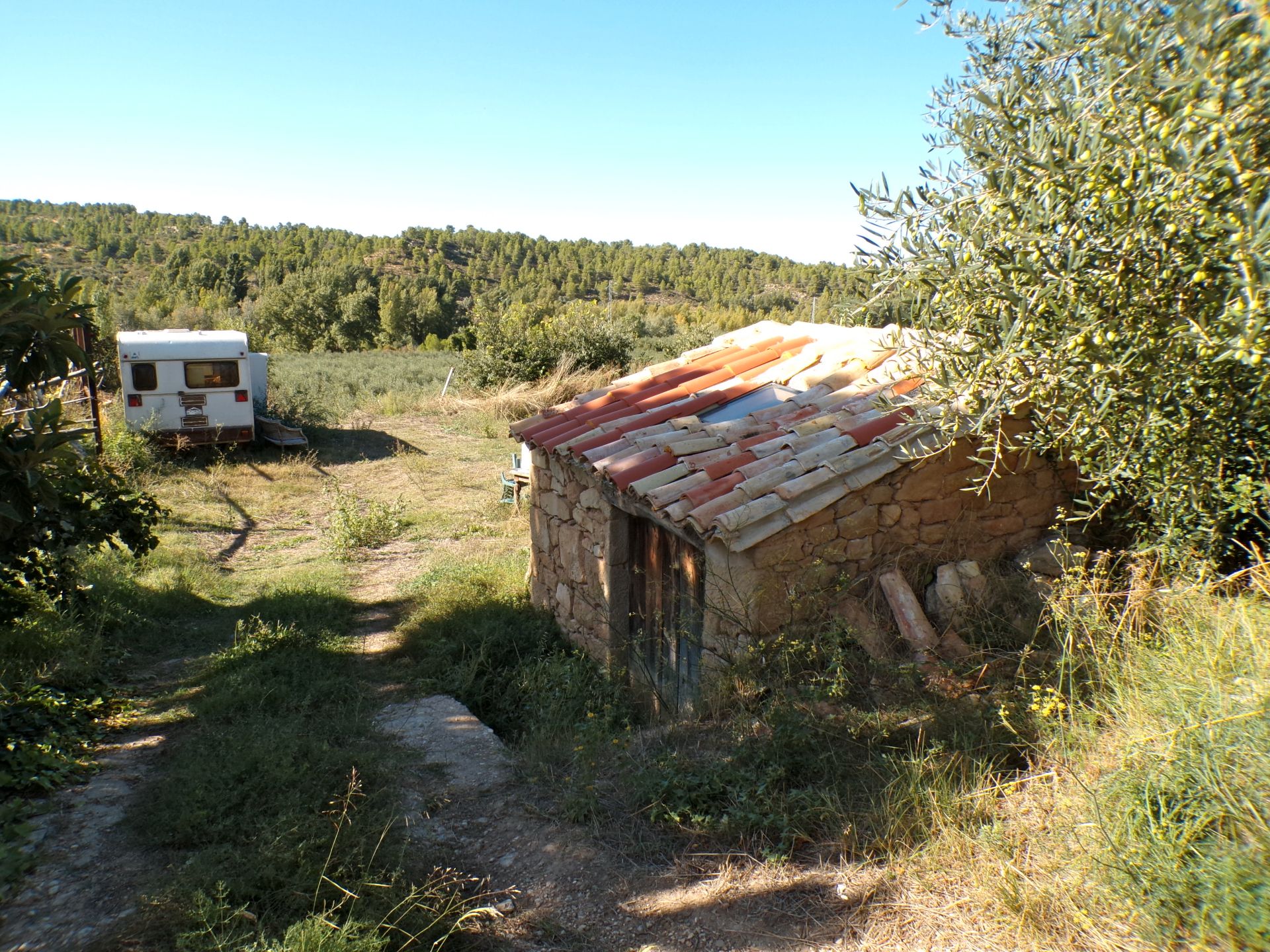 Grundstücke zum Verkauf in Torre del Compte