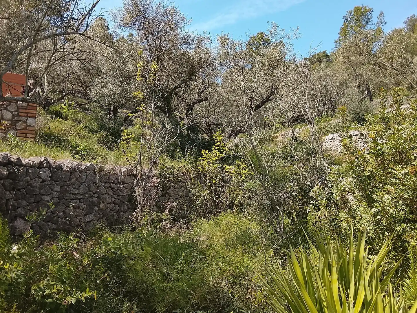 Maison rustique à vendre à Camí de la Finca del Governador, imagen 11