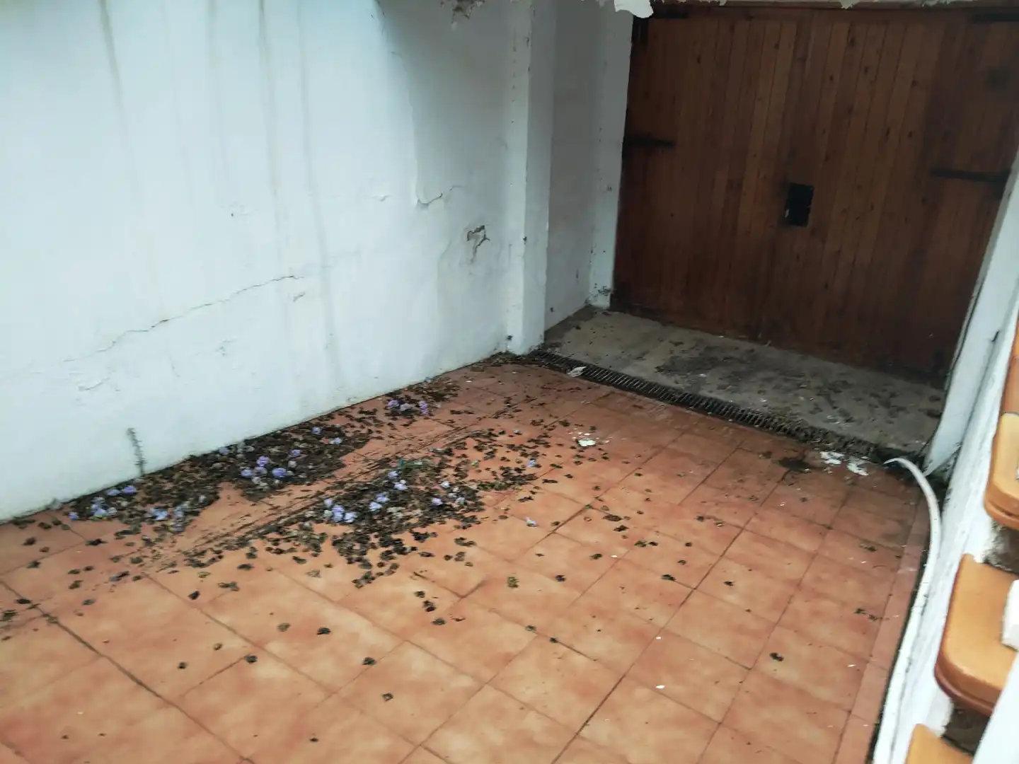 Casa bifamiliare con giardino in vendita a Carrer de la Falúa, imagen 18