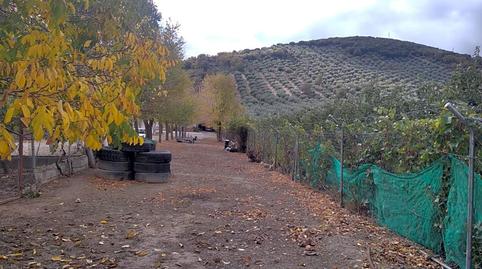 Photo 3 of Country house for sale in Benalúa de las Villas, Granada