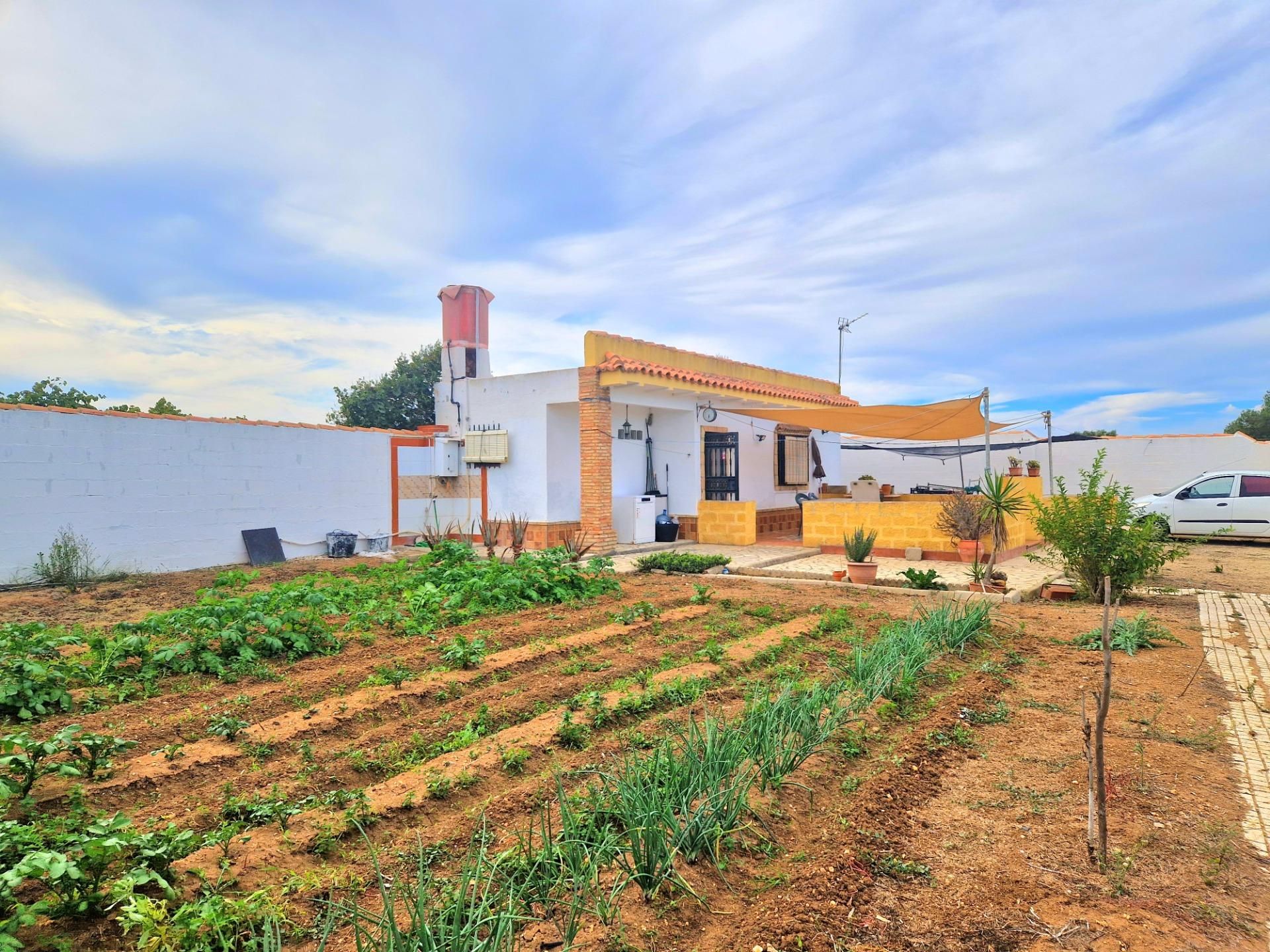 Jardí de Finca rústica en venda en Chiclana de la Frontera