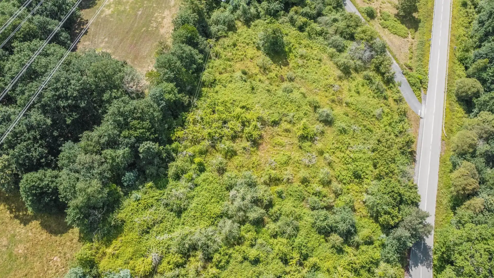 Rural land for sale in del pareo, imagen 15