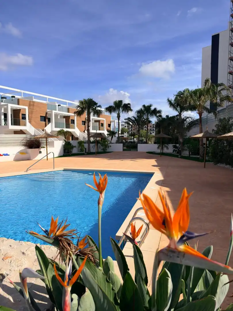 Piscina de Casa o xalet en venda en Mil Palmeras
