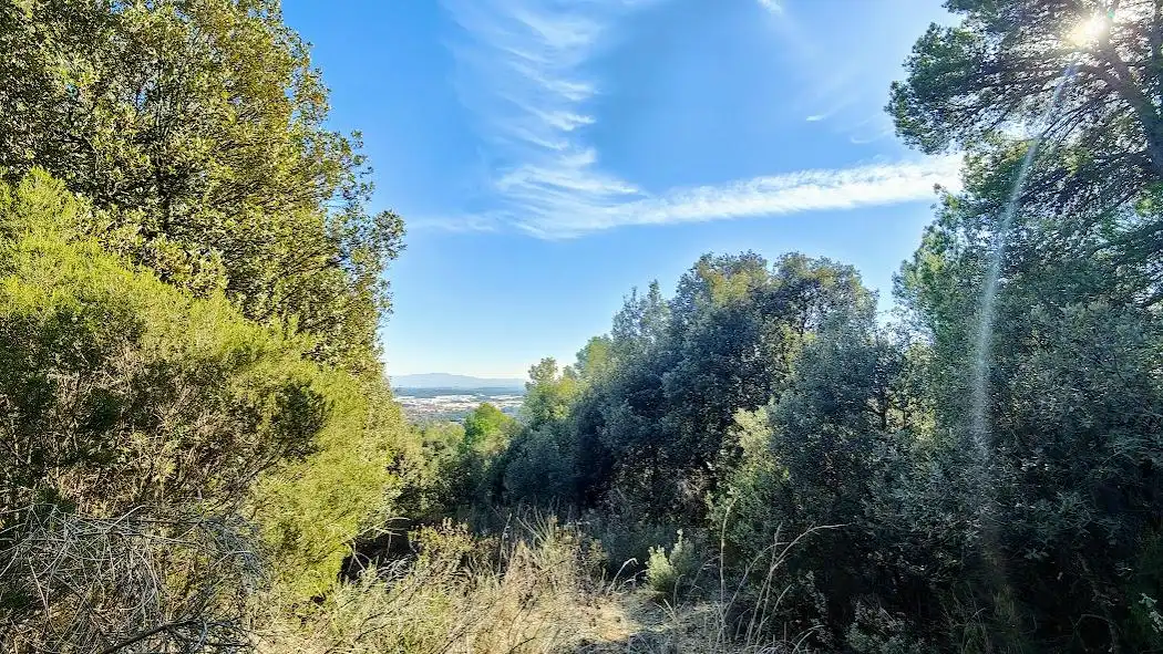 Lands and plots for sale in El Racó - Sant Feliu del Racó, imagen 9