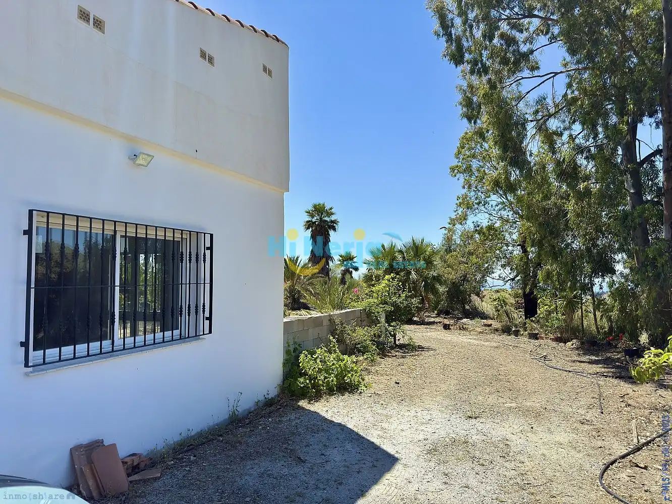 Vista exterior de Finca rústica en venta en Vélez-Málaga