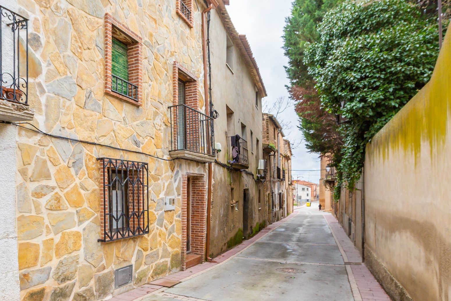 Exterior view of Single-family semi-detached for sale in Milagro  with Private garden, Terrace and Storage room