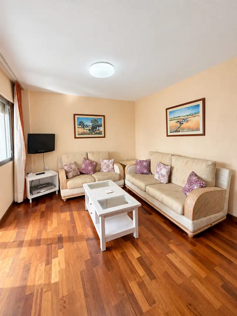 Sala d'estar de Apartament en venda en Torremolinos amb Aire condicionat, Terrassa i Moblat