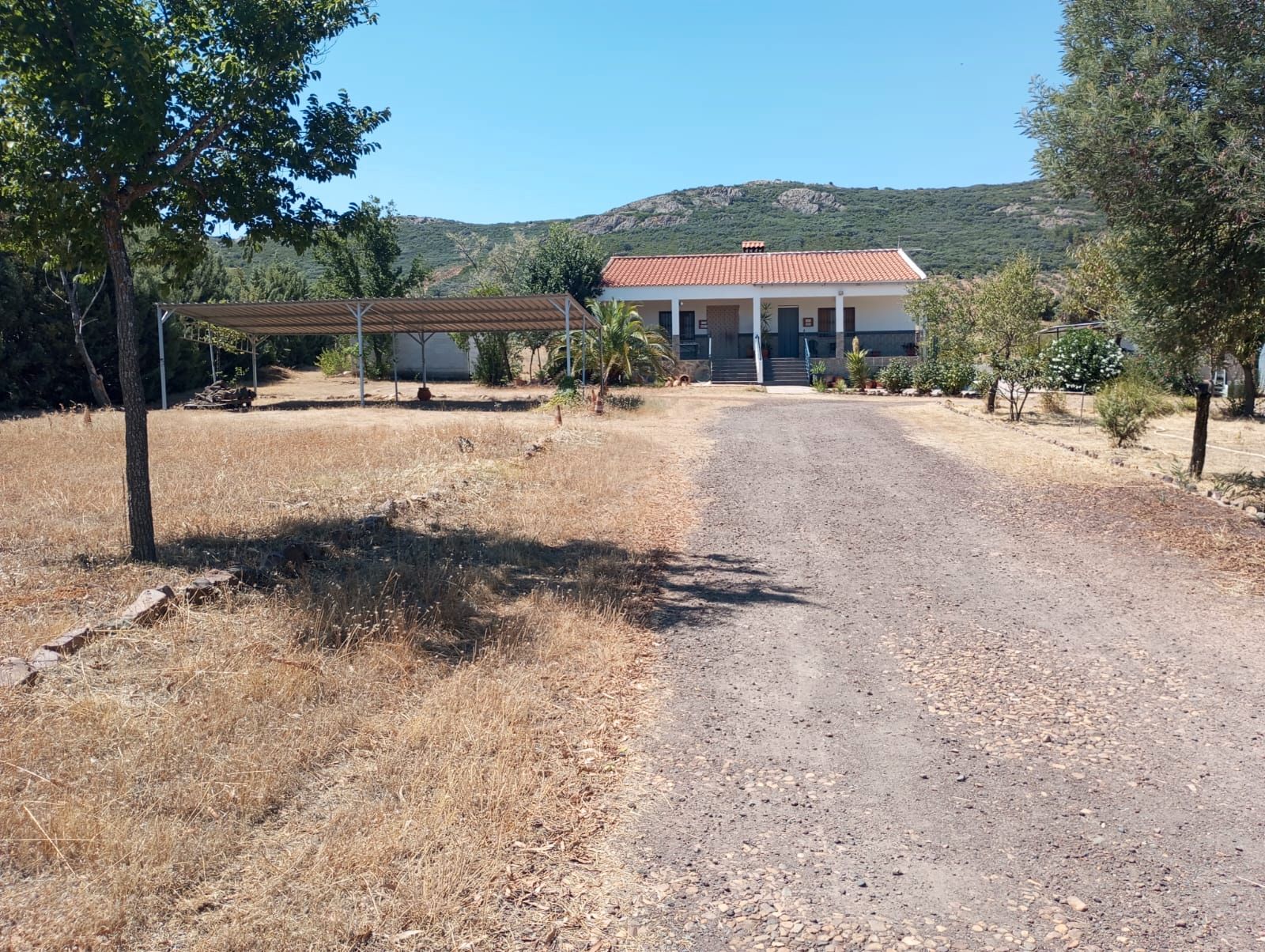 Land for sale in Brazatortas