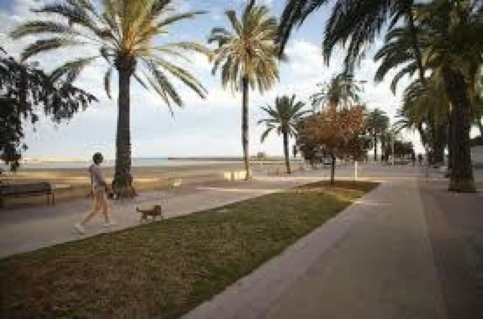 Vista exterior de Àtic en venda en Massalfassar amb Aire condicionat, Calefacció i Terrassa